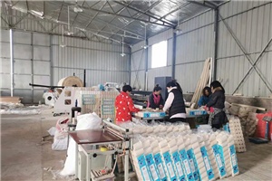 辦個衛生紙加工廠有市場嗎，多久能夠回本